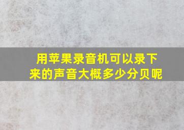 用苹果录音机可以录下来的声音大概多少分贝呢