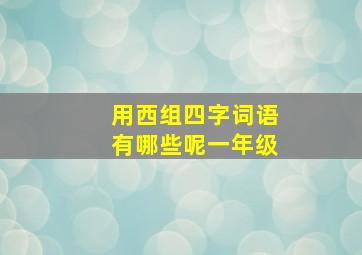 用西组四字词语有哪些呢一年级