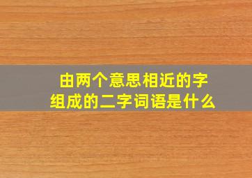 由两个意思相近的字组成的二字词语是什么