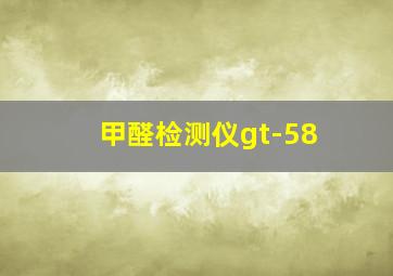 甲醛检测仪gt-58