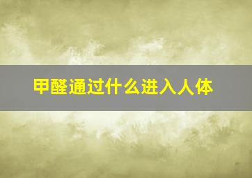 甲醛通过什么进入人体