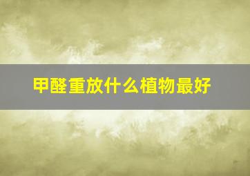 甲醛重放什么植物最好