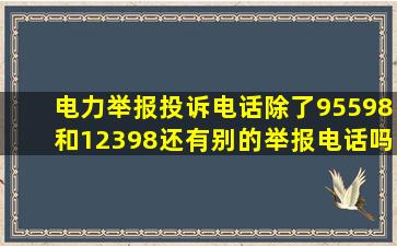 电力举报投诉电话除了95598和12398还有别的举报电话吗