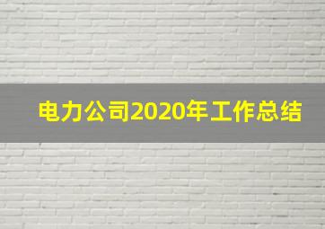 电力公司2020年工作总结