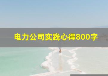 电力公司实践心得800字