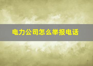 电力公司怎么举报电话