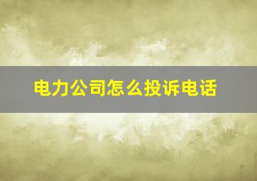 电力公司怎么投诉电话