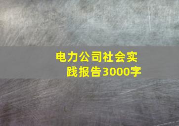 电力公司社会实践报告3000字