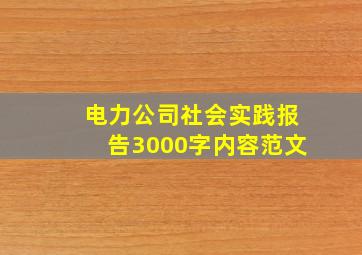 电力公司社会实践报告3000字内容范文