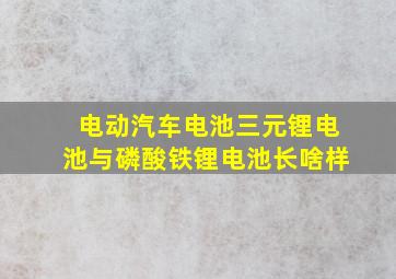 电动汽车电池三元锂电池与磷酸铁锂电池长啥样