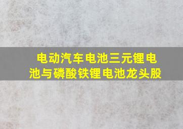 电动汽车电池三元锂电池与磷酸铁锂电池龙头股