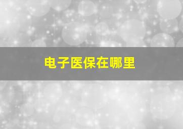 电子医保在哪里