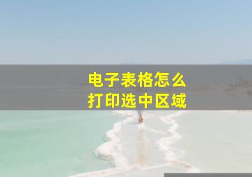 电子表格怎么打印选中区域