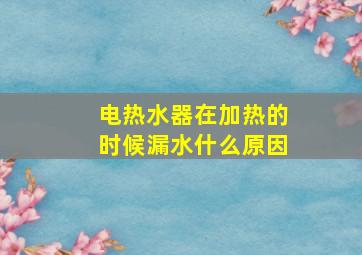 电热水器在加热的时候漏水什么原因