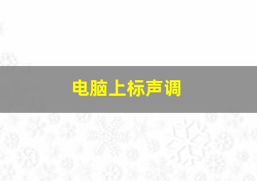 电脑上标声调