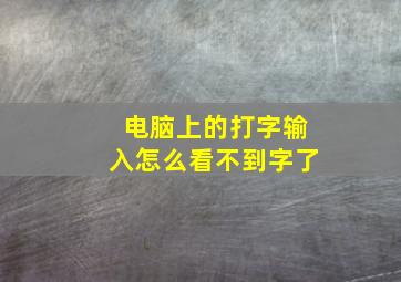 电脑上的打字输入怎么看不到字了