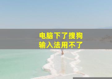 电脑下了搜狗输入法用不了