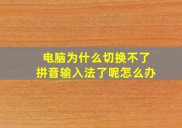 电脑为什么切换不了拼音输入法了呢怎么办