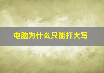 电脑为什么只能打大写