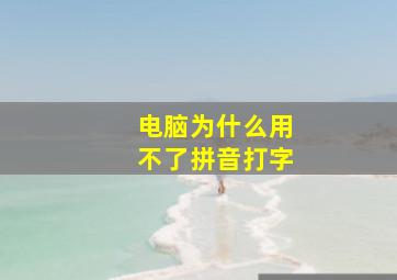 电脑为什么用不了拼音打字