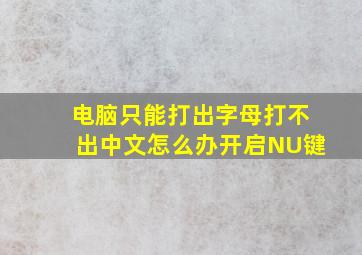 电脑只能打出字母打不出中文怎么办开启NU键