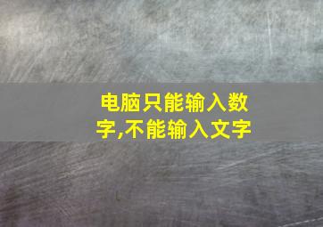 电脑只能输入数字,不能输入文字