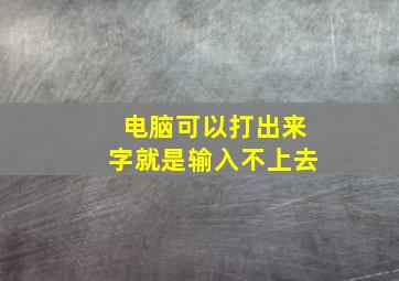 电脑可以打出来字就是输入不上去