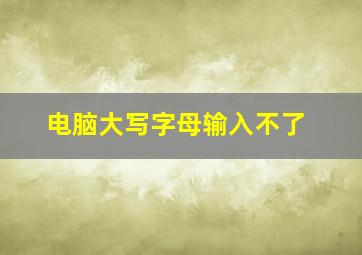 电脑大写字母输入不了