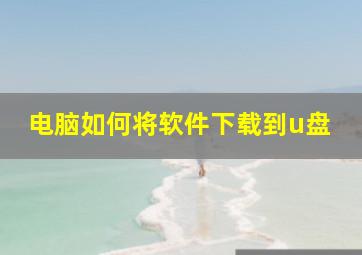 电脑如何将软件下载到u盘