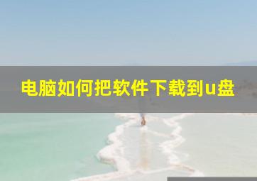 电脑如何把软件下载到u盘