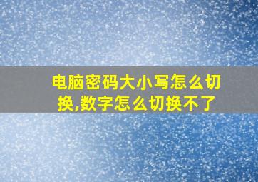 电脑密码大小写怎么切换,数字怎么切换不了