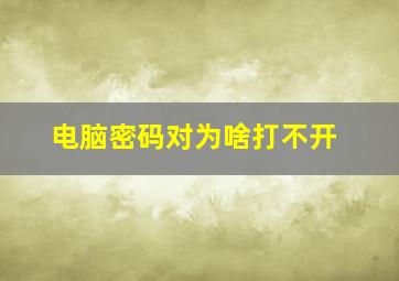 电脑密码对为啥打不开