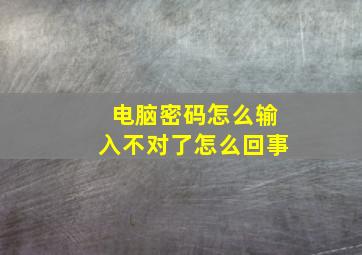 电脑密码怎么输入不对了怎么回事