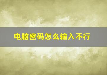 电脑密码怎么输入不行