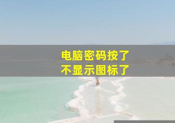 电脑密码按了不显示图标了