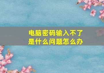 电脑密码输入不了是什么问题怎么办