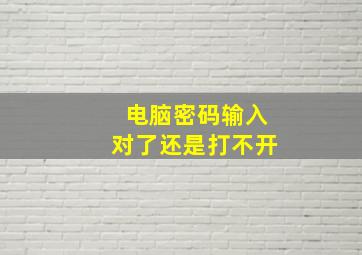 电脑密码输入对了还是打不开