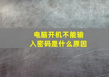 电脑开机不能输入密码是什么原因