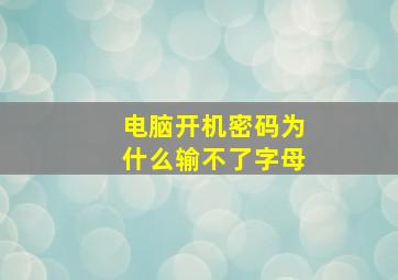 电脑开机密码为什么输不了字母