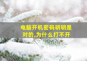 电脑开机密码明明是对的,为什么打不开