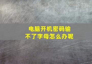 电脑开机密码输不了字母怎么办呢