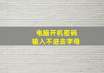 电脑开机密码输入不进去字母