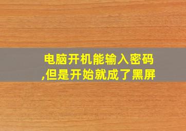 电脑开机能输入密码,但是开始就成了黑屏