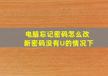 电脑忘记密码怎么改新密码没有U的情况下