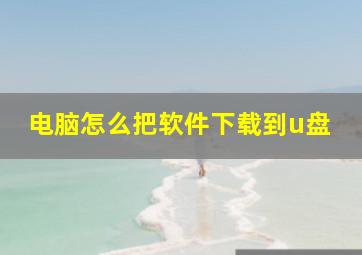 电脑怎么把软件下载到u盘