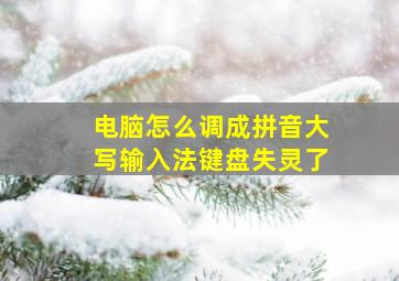 电脑怎么调成拼音大写输入法键盘失灵了