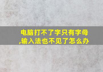 电脑打不了字只有字母,输入法也不见了怎么办