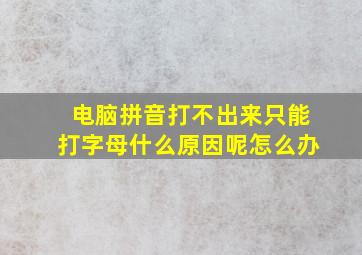 电脑拼音打不出来只能打字母什么原因呢怎么办