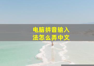 电脑拼音输入法怎么弄中文