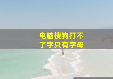 电脑搜狗打不了字只有字母